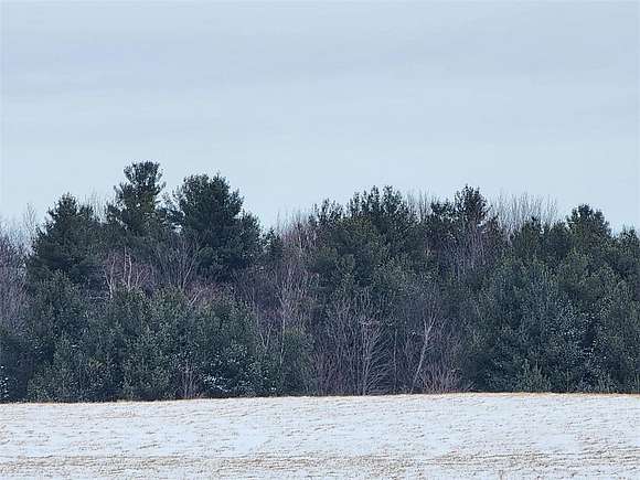 18.7 Acres of Recreational Land for Sale in Cumberland, Wisconsin