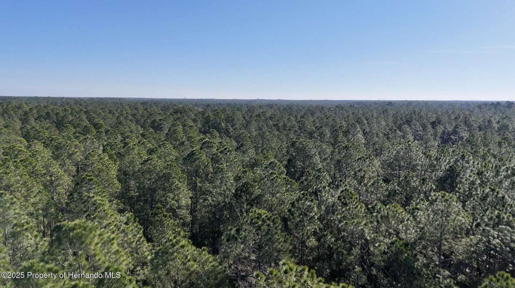 100 Acres of Recreational Land for Sale in Deltona, Florida