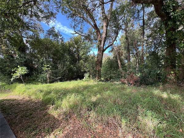 11.1 Acres of Commercial Land for Sale in Apopka, Florida