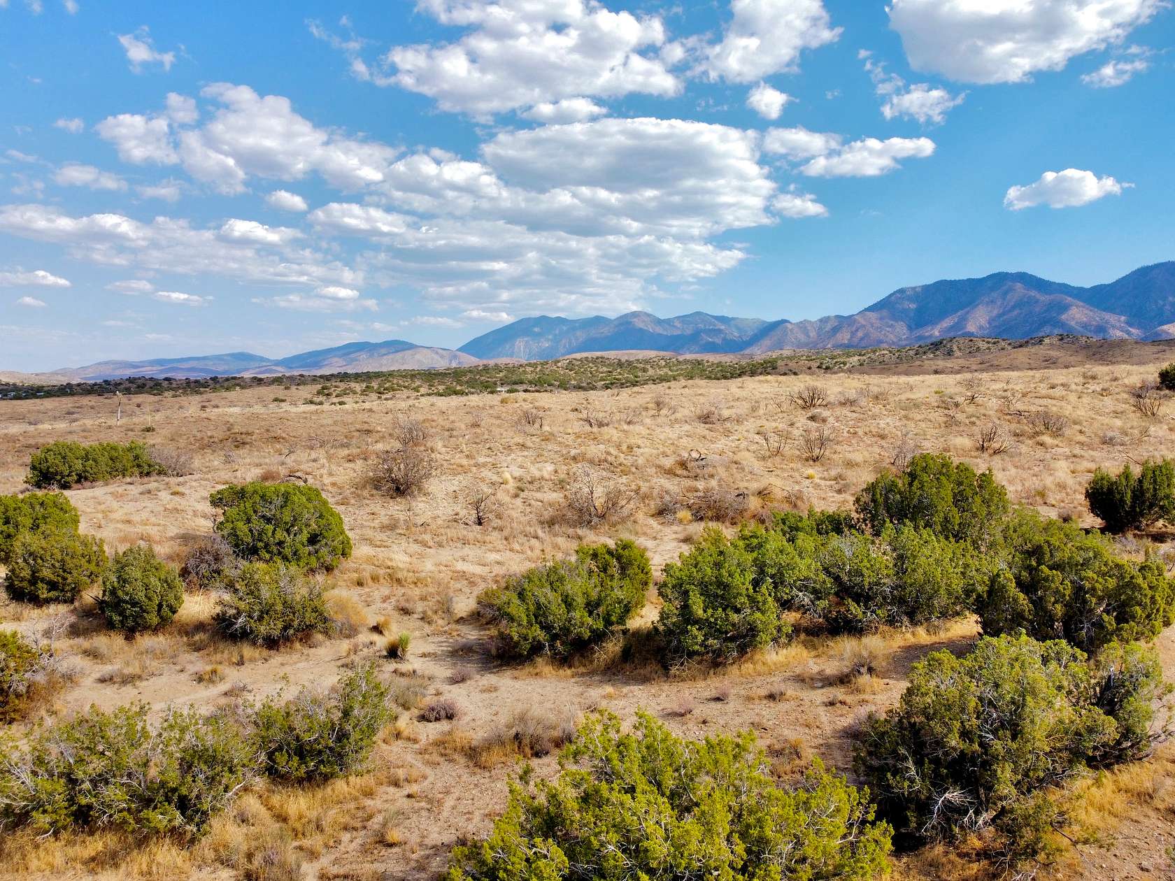 81.1 Acres of Land for Sale in Juniper Hills, California