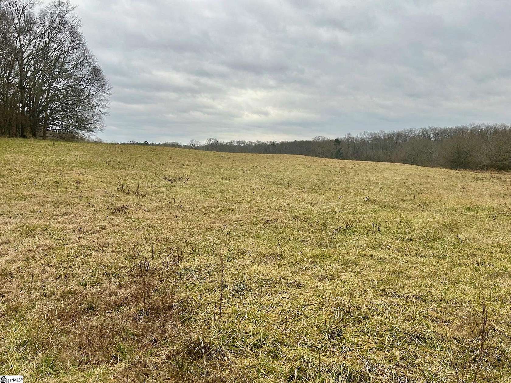 16 Acres of Land for Sale in Pelzer, South Carolina