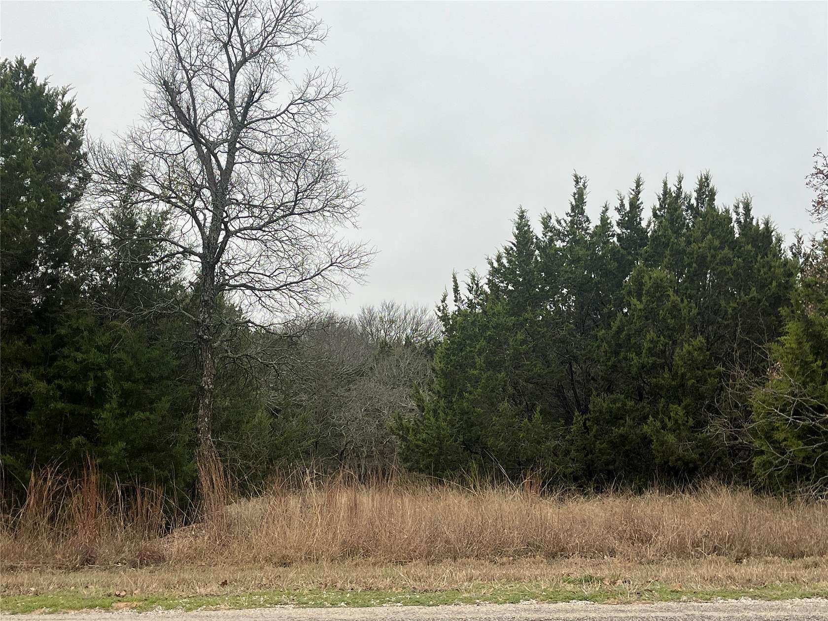 0.65 Acres of Residential Land for Sale in Whitney, Texas