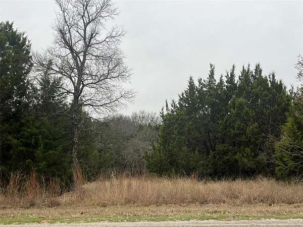 0.65 Acres of Residential Land for Sale in Whitney, Texas