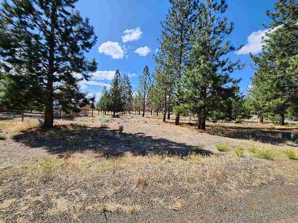 0.23 Acres of Land for Sale in Weed, California