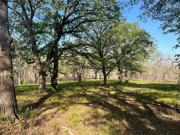 6.66 Acres of Residential Land for Sale in Bonham, Texas