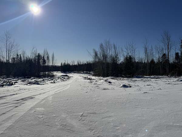 85 Acres of Recreational Land for Sale in Dover-Foxcroft, Maine