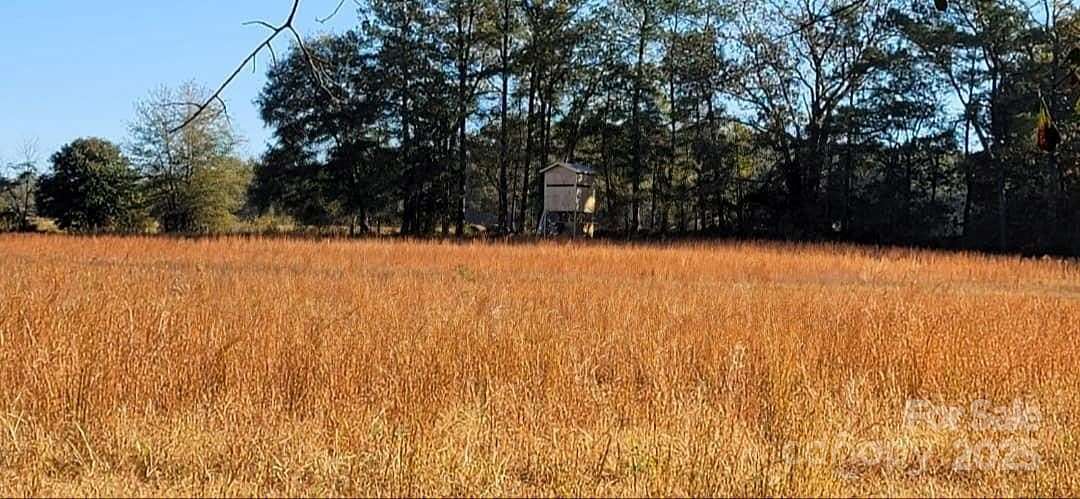 22.9 Acres of Recreational Land for Sale in Jefferson, South Carolina