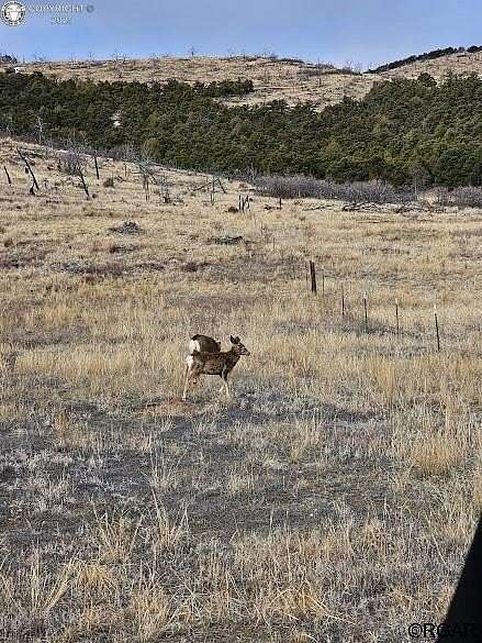 2.43 Acres of Residential Land for Sale in Cotopaxi, Colorado
