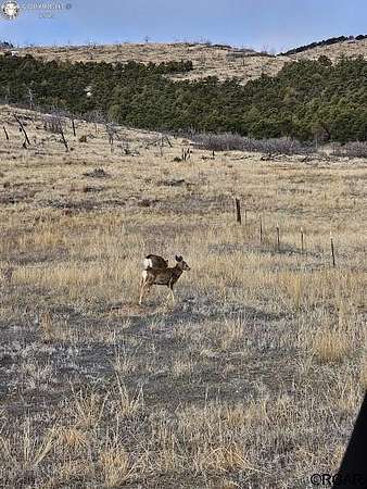 2.43 Acres of Residential Land for Sale in Cotopaxi, Colorado