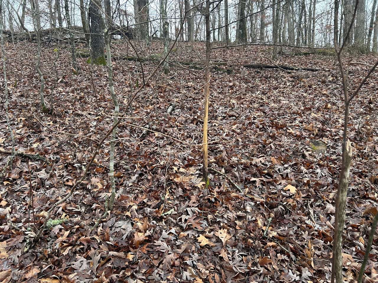 5 Acres of Residential Land for Sale in Newburg, Missouri