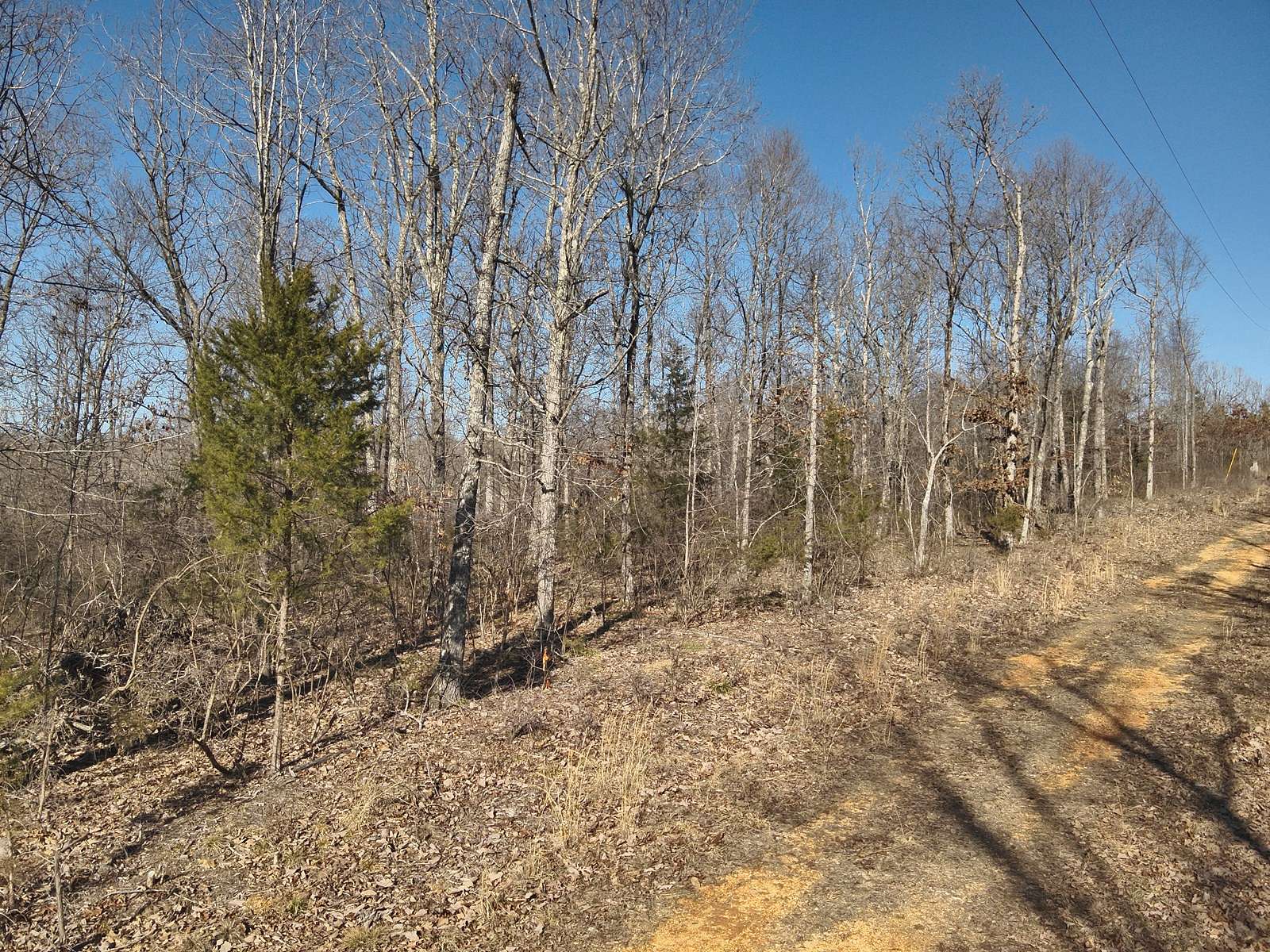5.23 Acres of Land for Sale in Linden, Tennessee