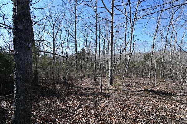 7.87 Acres of Land for Sale in Linden, Tennessee