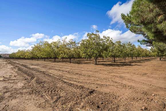 32.5 Acres of Recreational Land & Farm for Sale in Chamberino, New Mexico