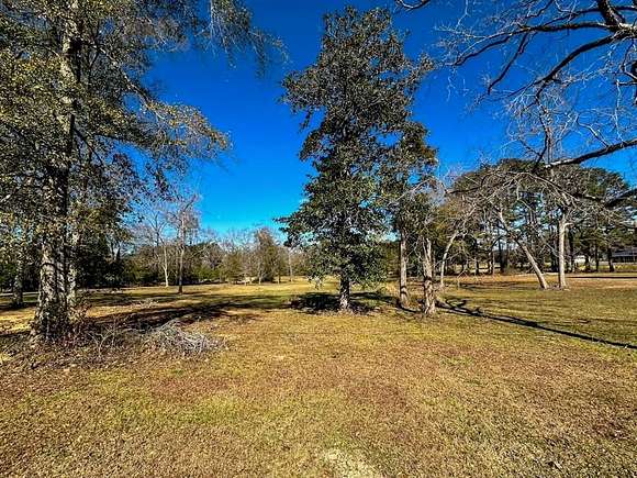 2 Acres of Commercial Land for Sale in Summit, Mississippi