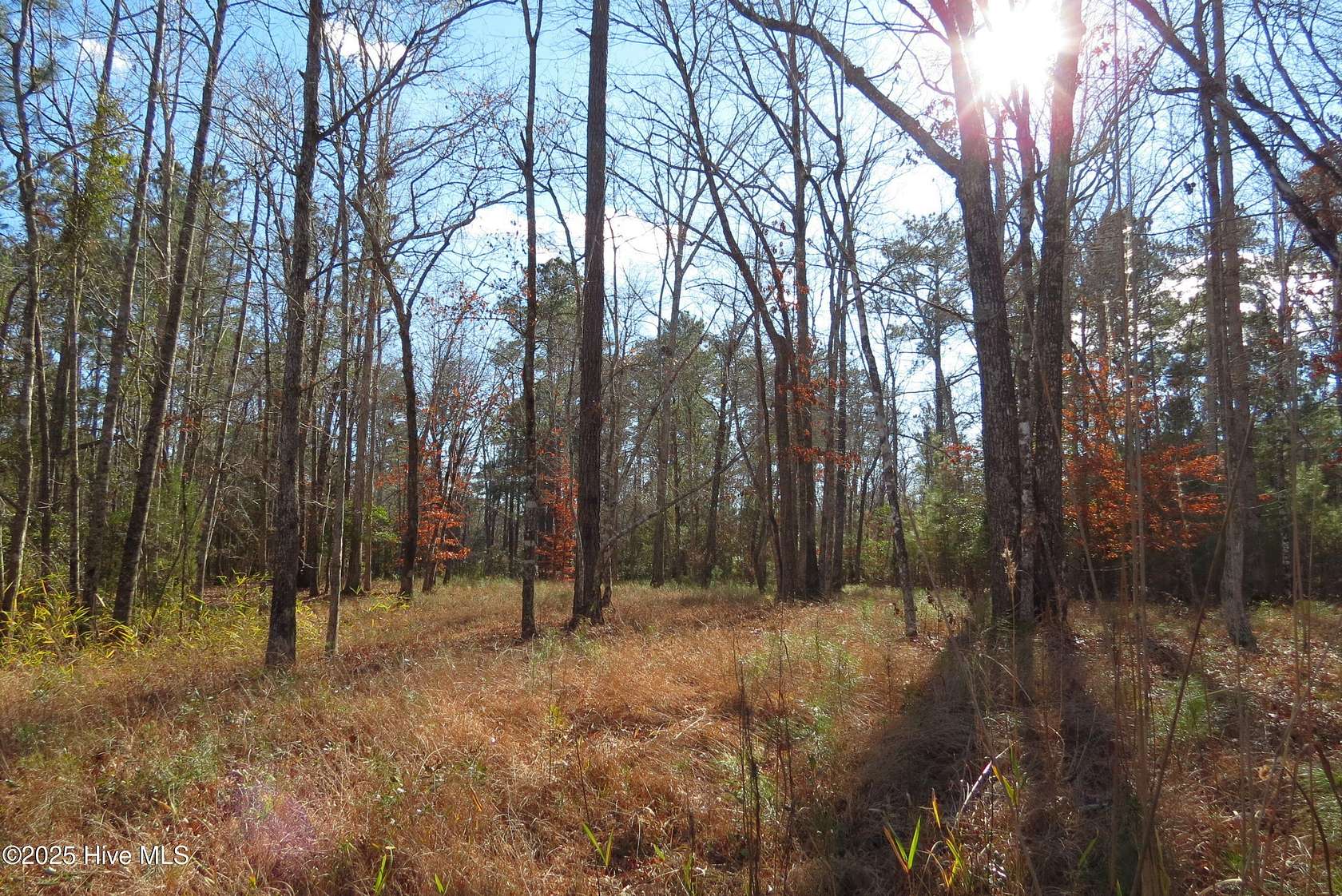 0.83 Acres of Residential Land for Sale in Oriental, North Carolina