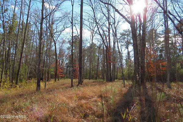 0.83 Acres of Residential Land for Sale in Oriental, North Carolina