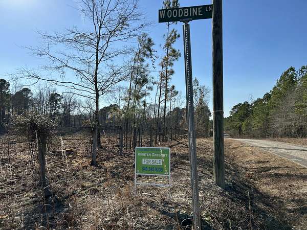 50.5 Acres of Land for Sale in Cheraw, South Carolina