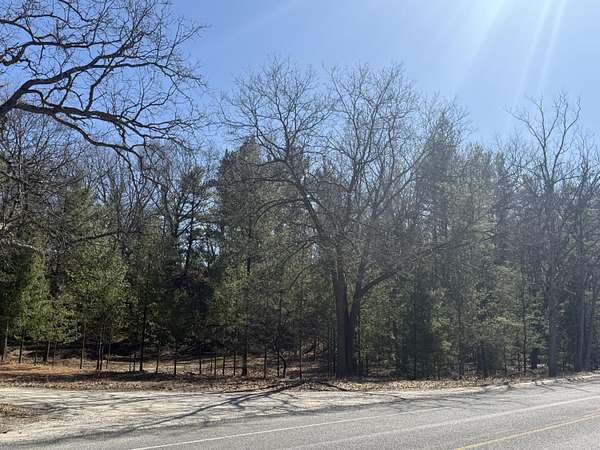 4.39 Acres of Residential Land for Sale in Pentwater, Michigan