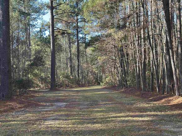 127 Acres of Recreational Land for Sale in Andrews, South Carolina