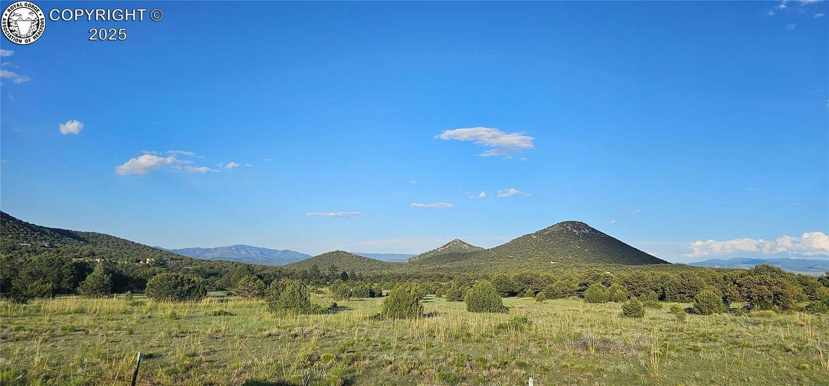 35 Acres of Recreational & Residential Land for Sale in Cotopaxi, Colorado