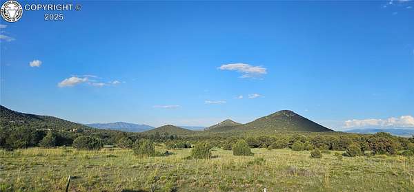 35 Acres of Recreational & Residential Land for Sale in Cotopaxi, Colorado