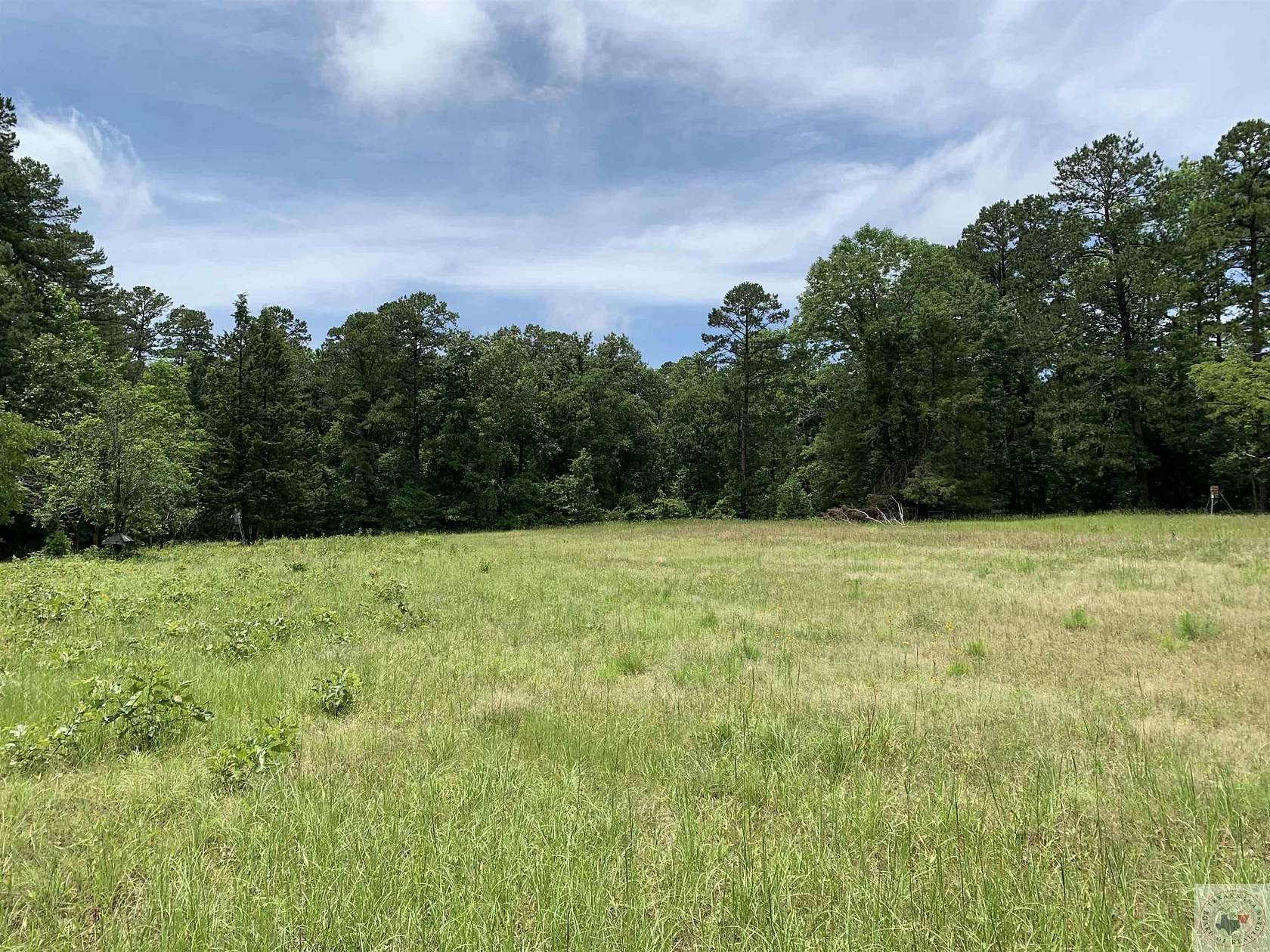 47.3 Acres of Land for Sale in Atlanta, Texas