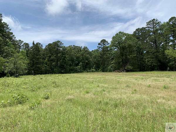 47.3 Acres of Land for Sale in Atlanta, Texas