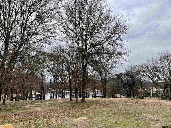0.59 Acres of Residential Land for Sale in Frankston, Texas