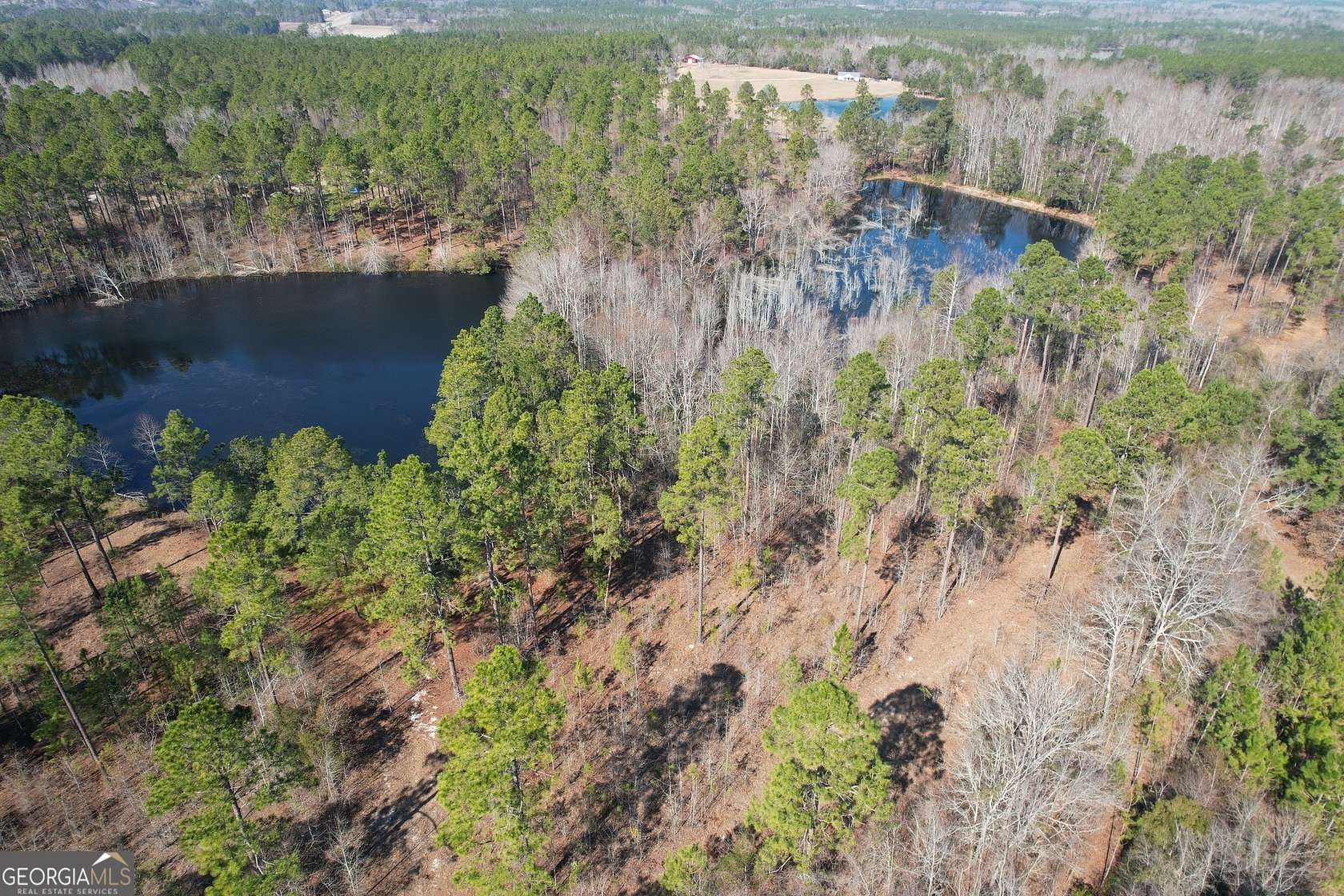 44.4 Acres of Recreational Land for Sale in Portal, Georgia