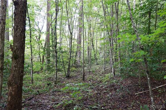 23.3 Acres of Recreational Land for Sale in Meherrin, Virginia