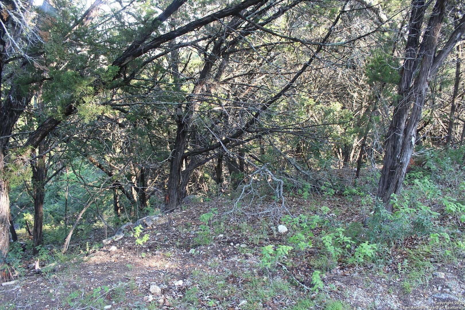 0.22 Acres of Land for Sale in Canyon Lake, Texas