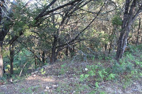 0.22 Acres of Land for Sale in Canyon Lake, Texas