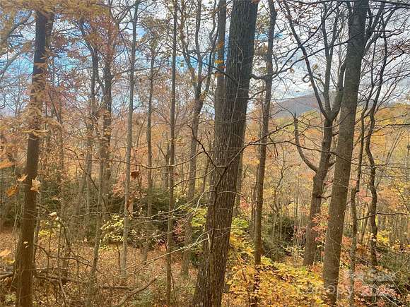 6 Acres of Residential Land for Sale in Asheville, North Carolina