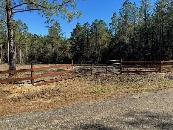 13 Acres of Recreational Land for Sale in Tylertown, Mississippi