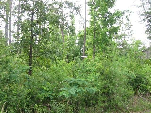 0.33 Acres of Land for Sale in Carriere, Mississippi