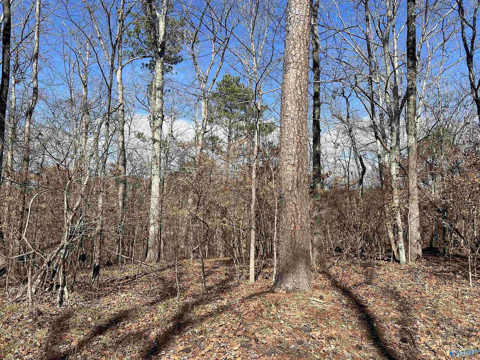 0.75 Acres of Residential Land for Sale in Cedar Bluff, Alabama