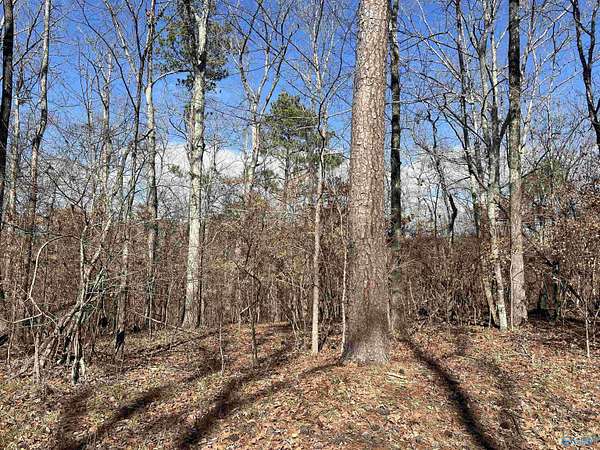 0.75 Acres of Residential Land for Sale in Cedar Bluff, Alabama