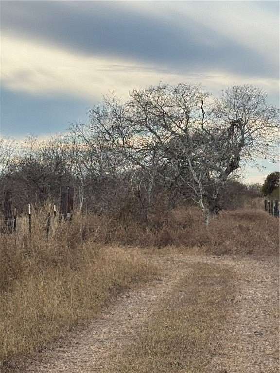 9 Acres of Residential Land for Sale in Taft, Texas