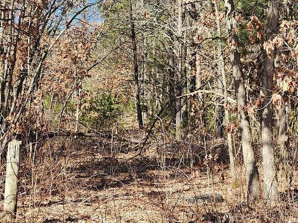 17.2 Acres of Recreational Land for Sale in Lyndon Station, Wisconsin