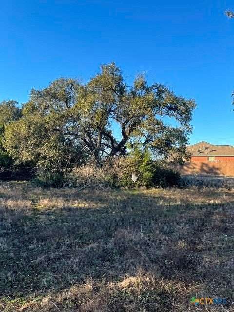 0.22 Acres of Residential Land for Sale in Blanco, Texas