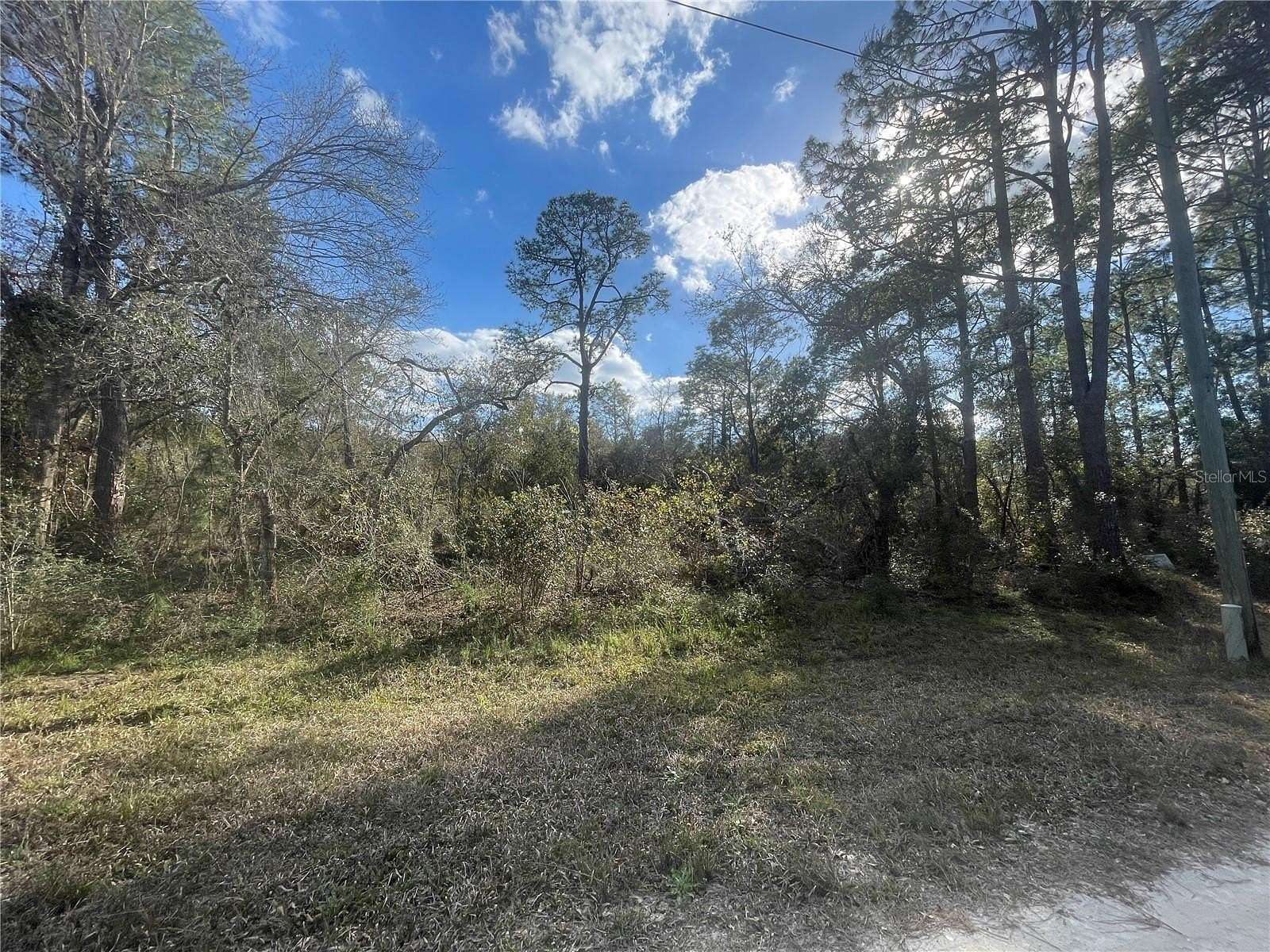 1.16 Acres of Residential Land for Sale in Webster, Florida