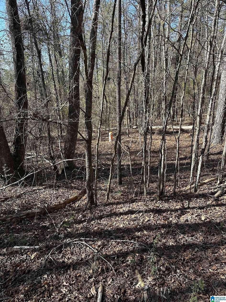 3.5 Acres of Land for Sale in Hayden, Alabama