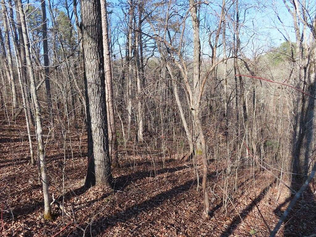 1 Acre of Land for Sale in Talking Rock, Georgia