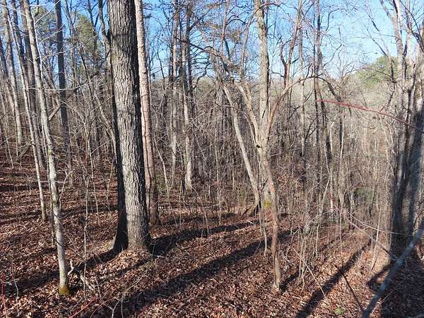 1 Acre of Land for Sale in Talking Rock, Georgia
