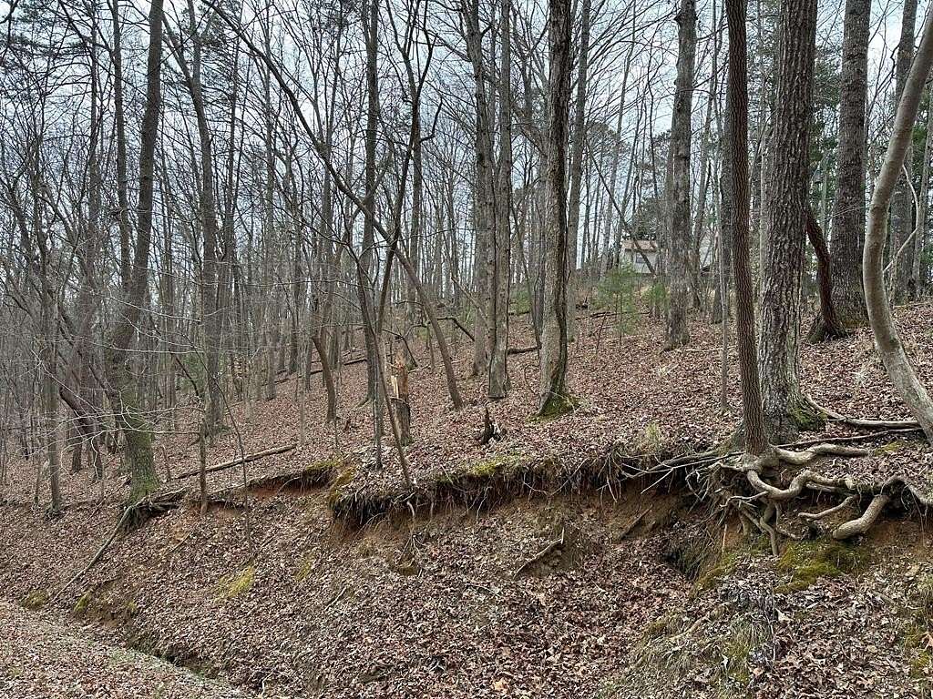 0.2 Acres of Land for Sale in Ellijay, Georgia