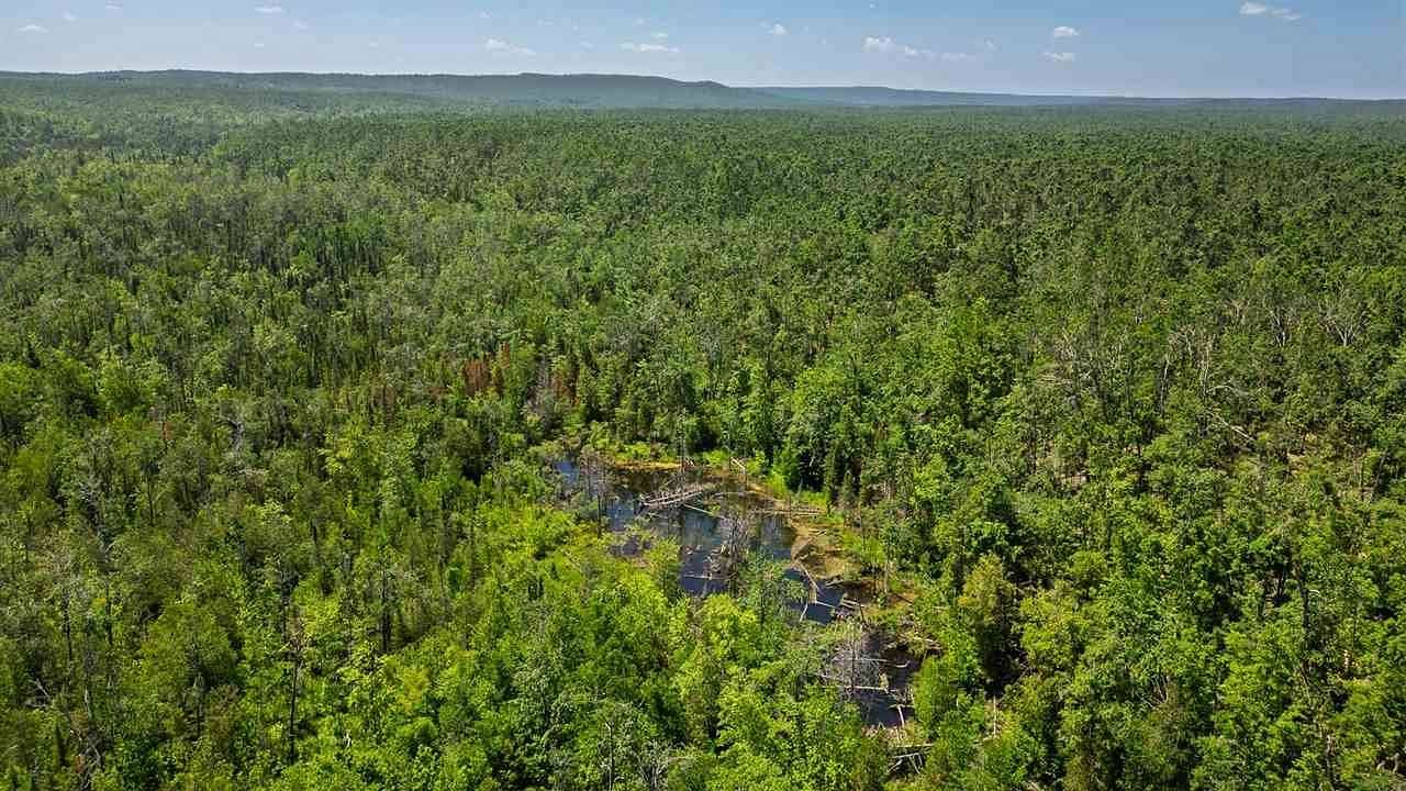 412 Acres of Recreational Land with Home for Sale in Vanderbilt, Michigan