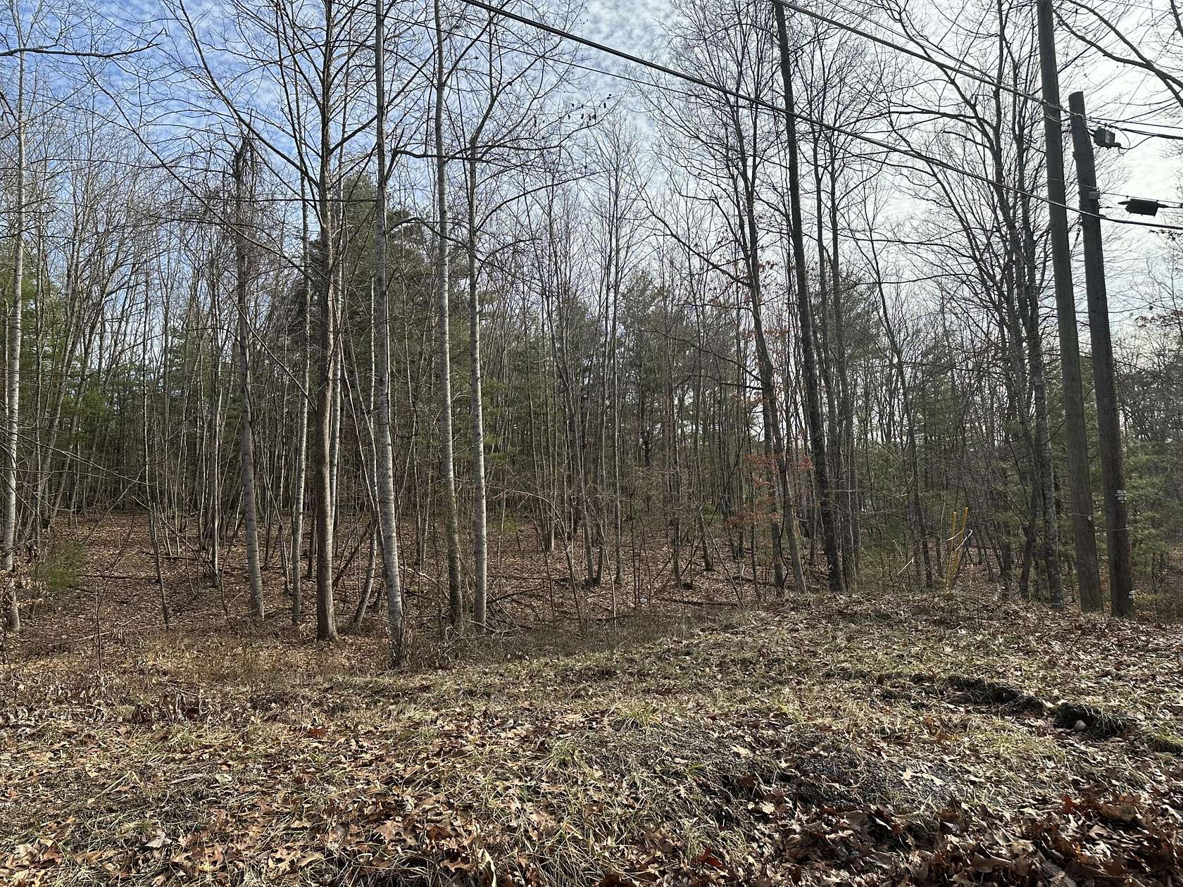 1.79 Acres of Residential Land for Sale in Alderson, West Virginia