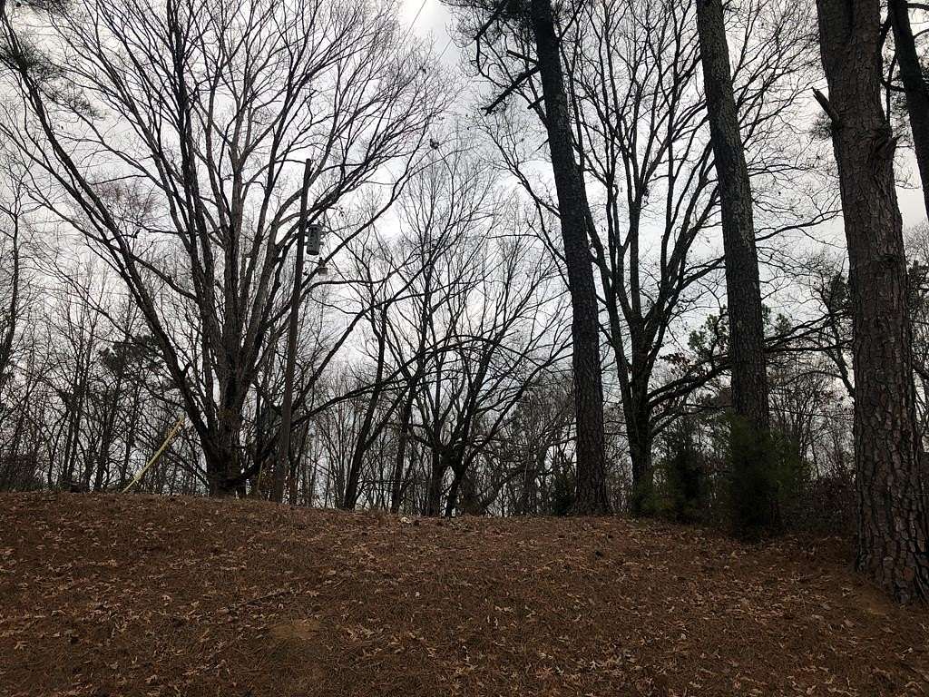 2.39 Acres of Residential Land for Sale in Oxford, Mississippi