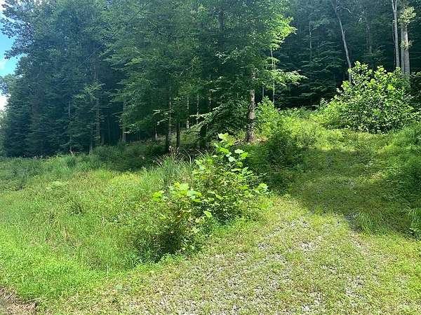 Residential Land for Sale in Summersville, West Virginia