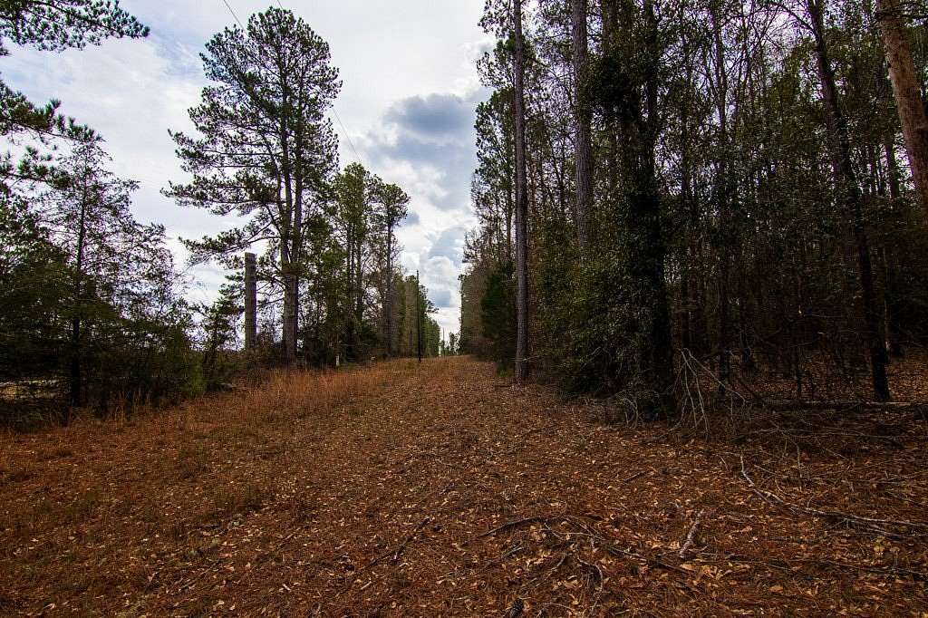 35.4 Acres of Recreational Land for Sale in Pine Mountain, Georgia